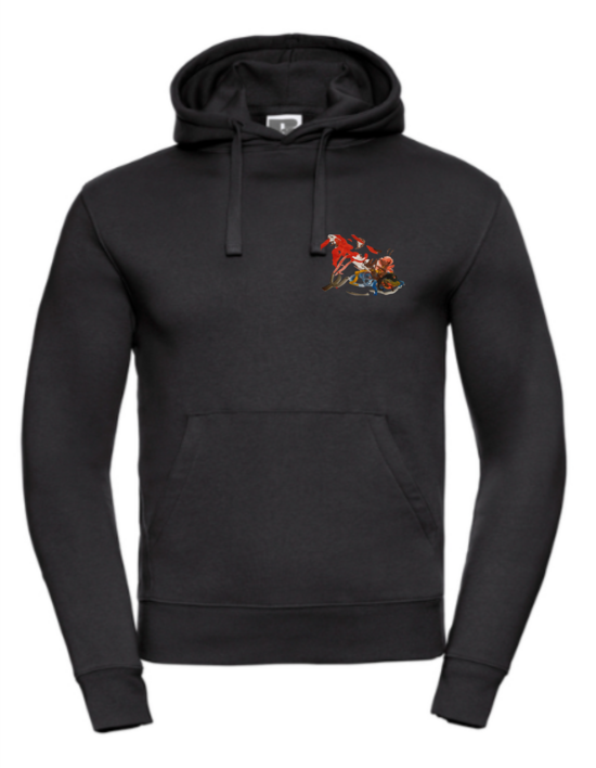 Džemperis ar kapuci | Aurēlija, 10 gadi